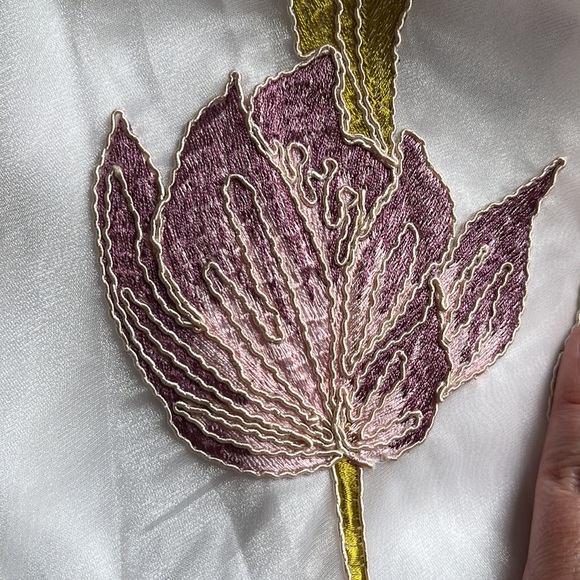 NWT Jaw dropping embroidered dress! - Picture 4 of 8